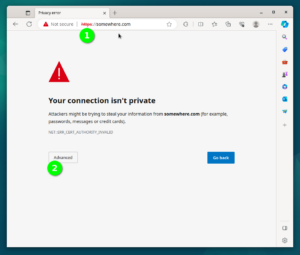 Browser page with self signed ssl - Showing alerts for now